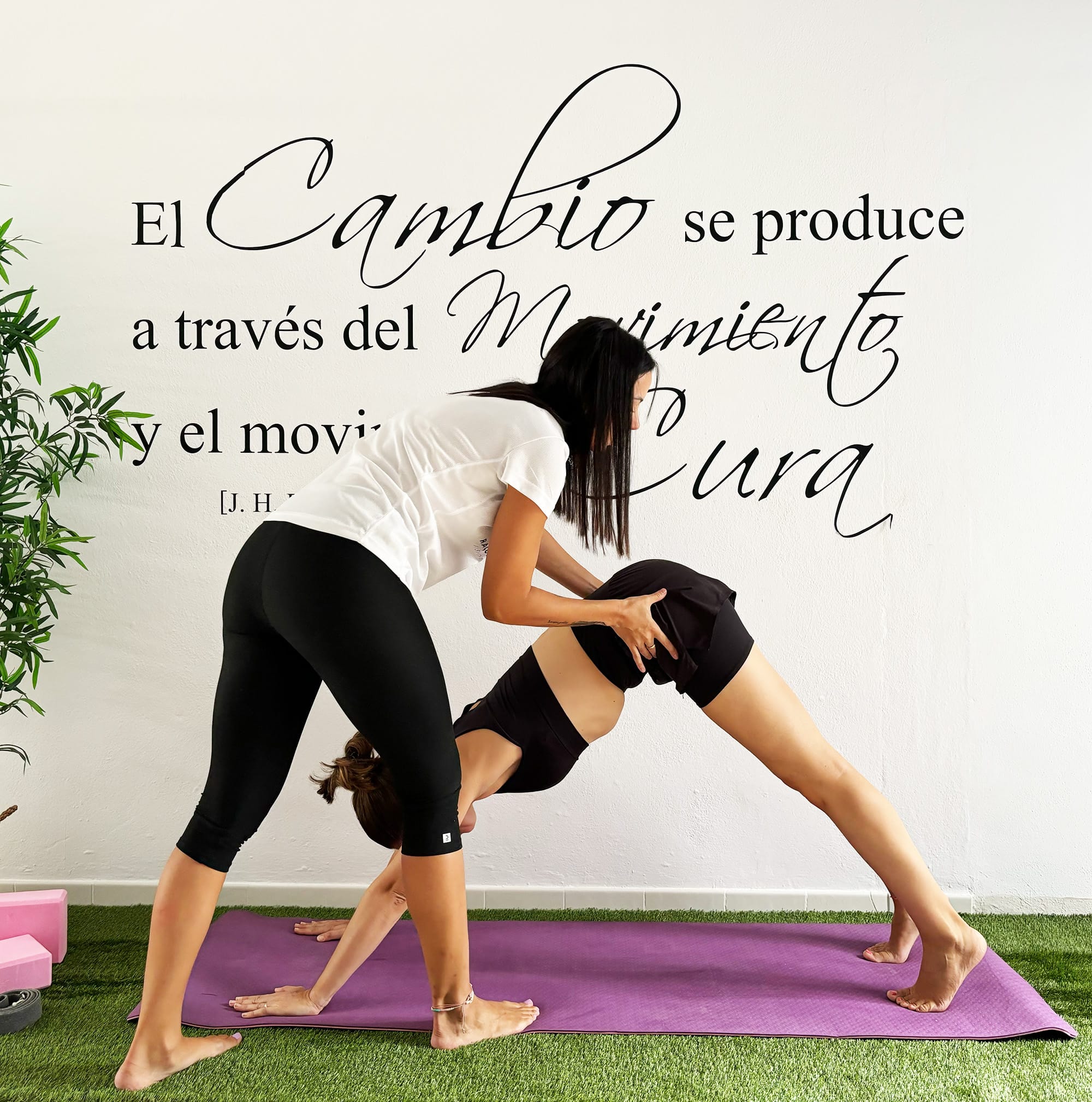 Image link